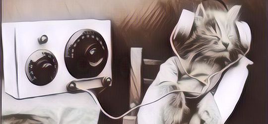 Kucing Tertidur Ketika di Mainkan Piano Majikannya, Bagaimana bisa?