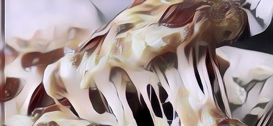 Ngakak! Ibu-Ibu Ini Memanaskan Pizza dengan Cara Dikukus, Hasilnya Begini