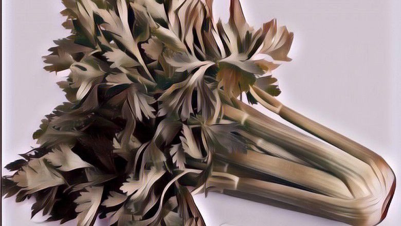 Rajin Minum Jus Seledri demi Kesehatan, Gimana Ya Rasanya?