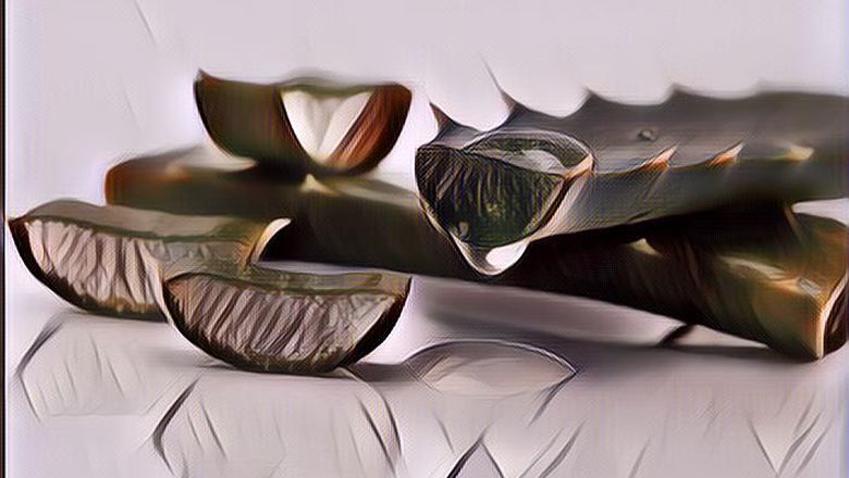 Kulit Jadi Lebih Lembab, Ini 3 Rekomendasi Skincare Aloe Vera Terbaik