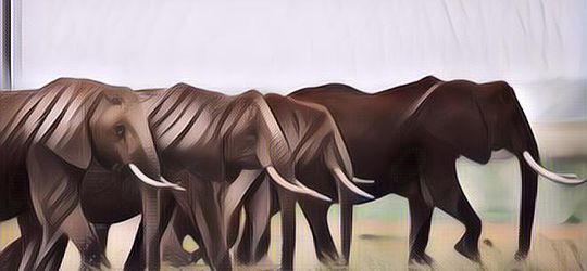 Sedih, Rumah Sakit Gajah Pertama di Dunia yang Ada di Thailand Kabarnya Akan Ditutup Lantaran Tidak Ada Dana