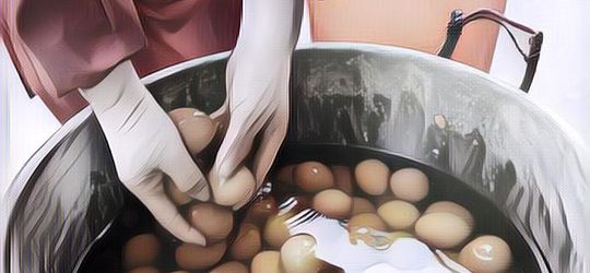 Makanan-makanan Paling Aneh Sedunia, Ada yang Namanya Telur Perjaka