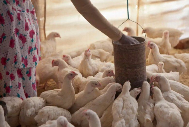 4. Bisa juga untuk memberdayakan perempuan