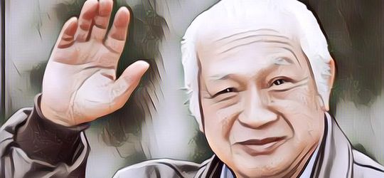 Kronologi Presiden Soeharto Lempar Senyum Misterius kepada Seorang Anak yang Bertanya Kenapa Presiden Cuma Satu