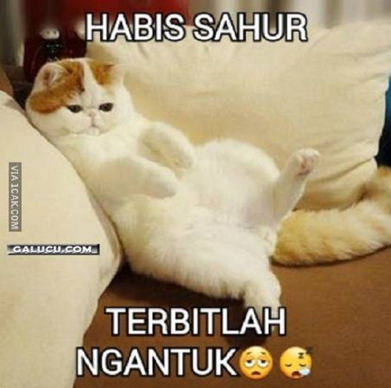 Relate banget! Begini rasanya merayakan Hari Hartini saat Puasa Ramadan.