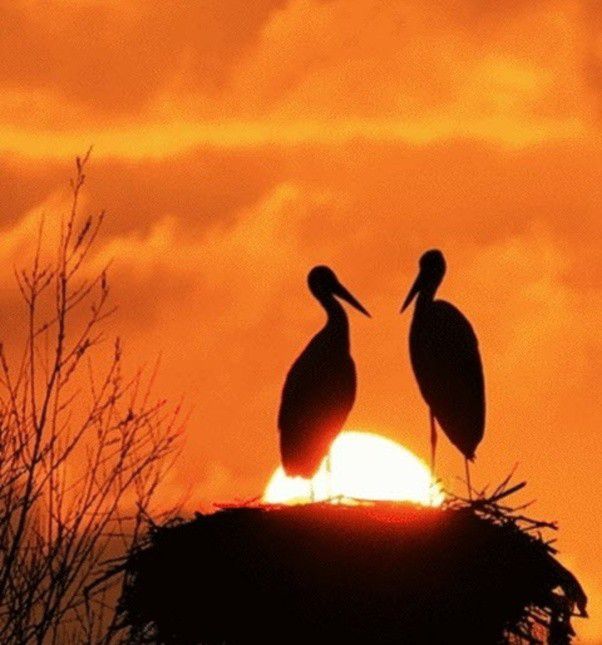 1. Sudah Mengenal Satu Sama Lain