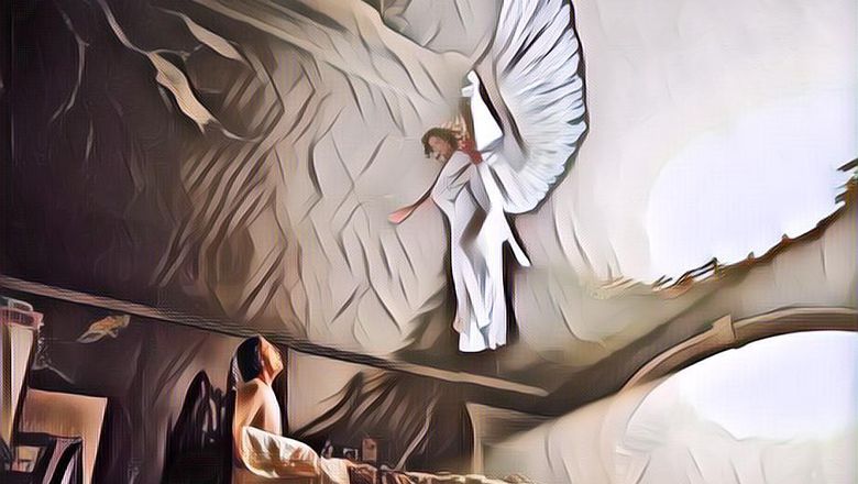 Kisah Pesugihan Toni yang Menikahi Peri Demi Cepat Kaya