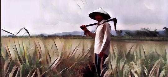 Kisah Mahasiswa IPB Nggak Pulang 15 Tahun Sejak KKN, Milih Ikut Warga Jadi Petani Hingga Dapet Gelar Istimewa