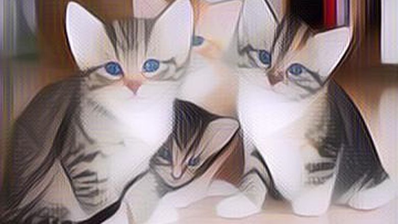 Tips Memilih Makanan yang Tepat untuk Hewan Peliharaan Agar Tidak Terkena Diare dan Obesitas