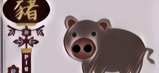 Ramalan Shio 2019, Begini Keberuntungan Shio Babi Tahun Ini