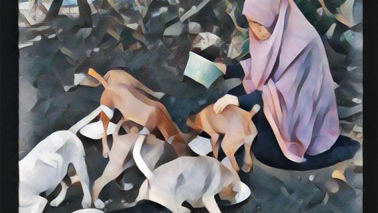 Desy: Kisah Wanita Berhijab yang Menolong Anjing Liar