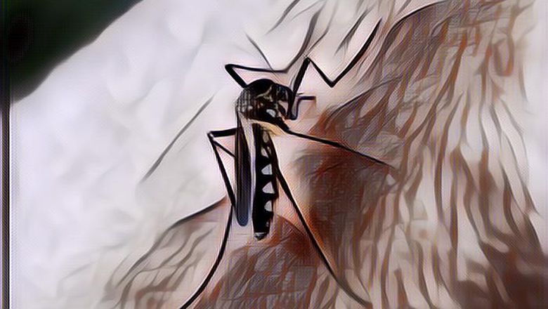 Nyamuk Jadi Hewan Mematikan di Dunia: Kok Bisa?