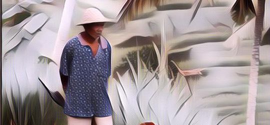 Data BPS Sebut Keluarga Miskin Di Indonesia Mayoritas Petani