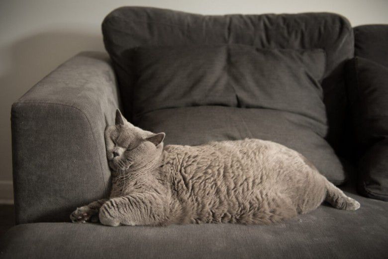 Pengen main tapi malas