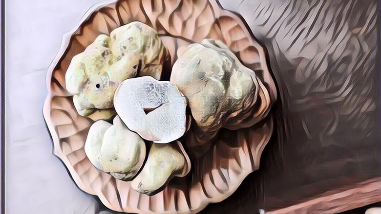 4 Manfaat White Truffle untuk Kulit, Jamur Langka dengan Beragam Khasiat
