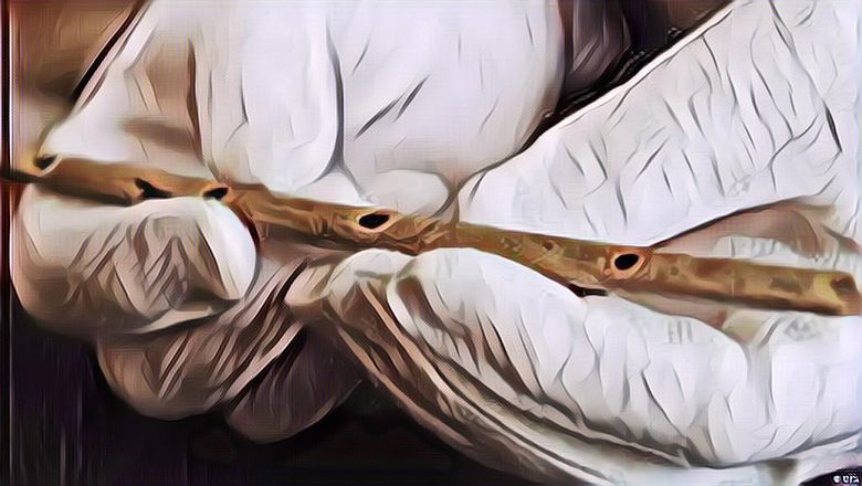 Wow, Alat Musik Tertua di Dunia Terbuat dari Tulang, Jadi Bukti Kekalahan Manusia Purba