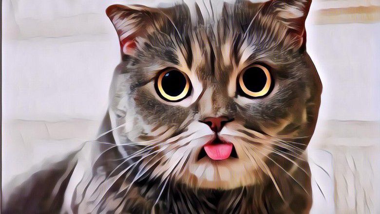 Nama-nama Kucing Biar Lucunya Nggak Udah-udah