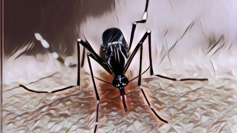 Desa di China Ini Nggak Ada Nyamuk Sama Sekali Meski Banyak Pohon dan Kolam, Katanya Gegara Batu Ajaib Ini