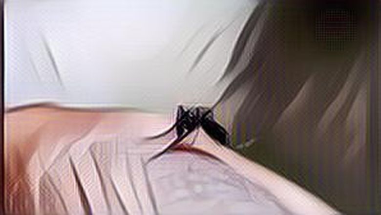 Musim Hujan Tiba, Mari Kita Belajar dari Kota Jogja yang Kerahkan Nyamuk Wolbachia untuk Lumpuhkan DBD