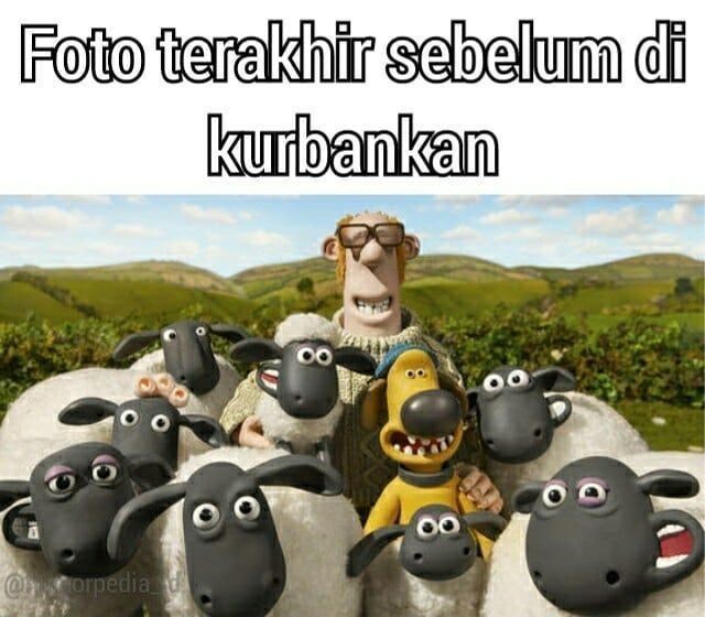 Kalo domba-domba di Shaun the Sheep jadi hewan kurban mungkin beginilah jadinya