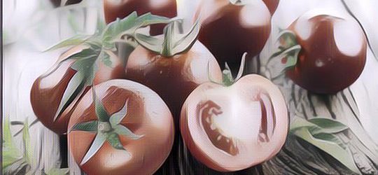 Jadi Perdebatan! Tomat Itu Buah Atau Sayur? Begini Penjelasan Ilmiahnya Menurut Ahli