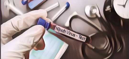 Dua Korban Meninggal di India, Ini Fakta-Fakta yang Perlu Diketahui tentang Virus Nipah