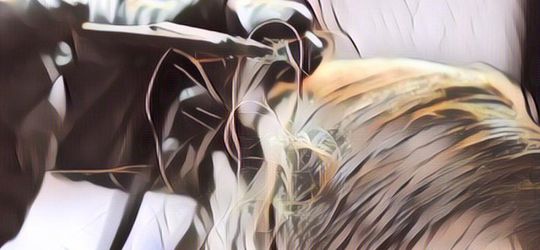 Bikin Ngakak! Bapak-Bapak Ini Pakai Cat Rambut, Tapi Iseng Sekalian Warnain Kumis