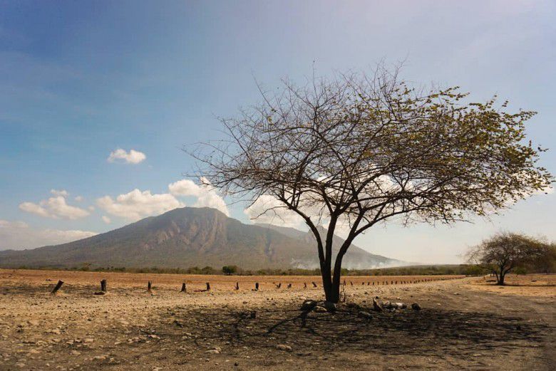 4.	Taman Nasional Baluran