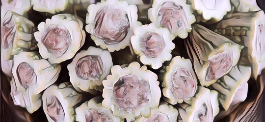 3 Olahan Pare Yang Paling Nikmat Buat Teman Makan Nasi