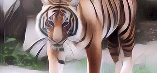 7 Manusia Harimau Sinetron: Fakta-faktanya Mengejutkan!