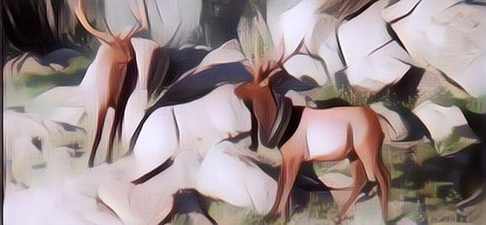 Akhirnya Ban yang Telah Dua Tahun Berada di Leher Rusa Bisa Lepas