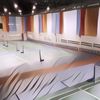 Rekomendasi Lapangan Bulu Tangkis di Jakarta dan Sekitarnya, Ada yang Dimiliki Mantan Pemain Nasional