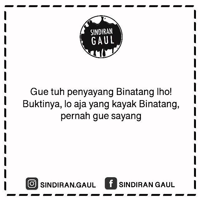 Kamu penyayang binatang?