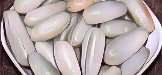 Khasiat Belimbing Wuluh Buat Diet, Efeknya Jos!