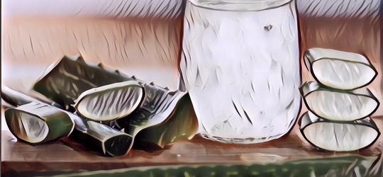 Es Lidah Buaya Selasih, Minuman Dingin dan Menyegarkan Buat Buka Puasa