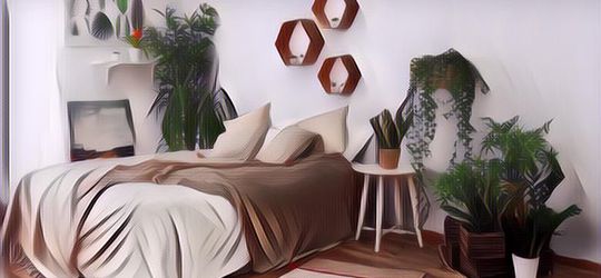 Enggak Nyangka, Tanaman Hias dalam Kamar Tidur Ini Bisa Bikin Tidur Kamu Berkualitas