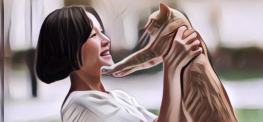 Gak Cuma Menghibur, Memelihara Kucing di Rumah Ternyata Punya Manfaat Kesehatan Berikut!