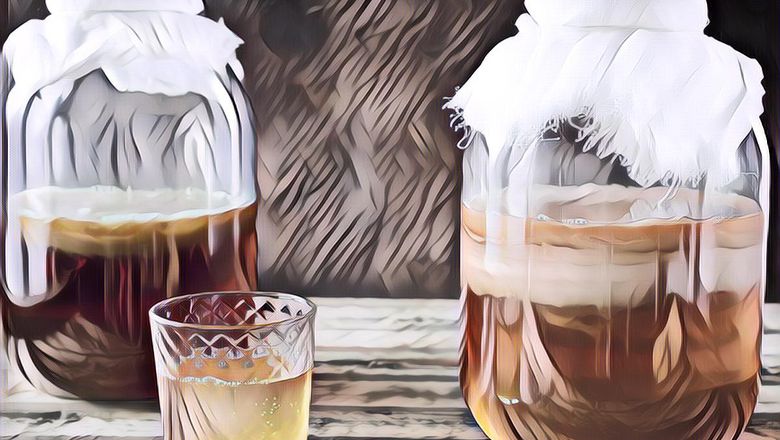 Cara Sederhana Membuat Kombucha Sendiri di Rumah, Rasanya Jadi Bisa Custom