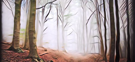 Bikin Merinding, Inilah 3 Kampung Gaib yang Dipercaya Ada di Indonesia