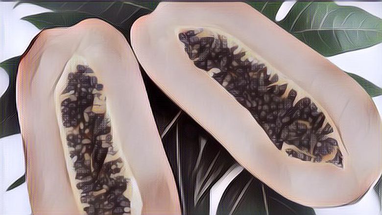 Pengin Nurunin Berat Badan? Yuk Cobain Diet Pepaya!