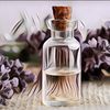 Berjuta Manfaat Minyak Lavender untuk Kesehatan, Gak Nyangka!