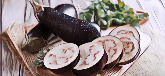 Fakta Mengejutkan! 90 Persen Orang Indonesia Bahkan Enggak Tahu Kalau Golongan Darah O Dilarang Keras Makan Terong, Kenapa Ya?