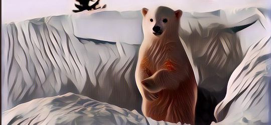 Terjawab Sudah! Ini Ternyata Jawaban Kenapa Gak Ada Beruang Kutub di Antartika