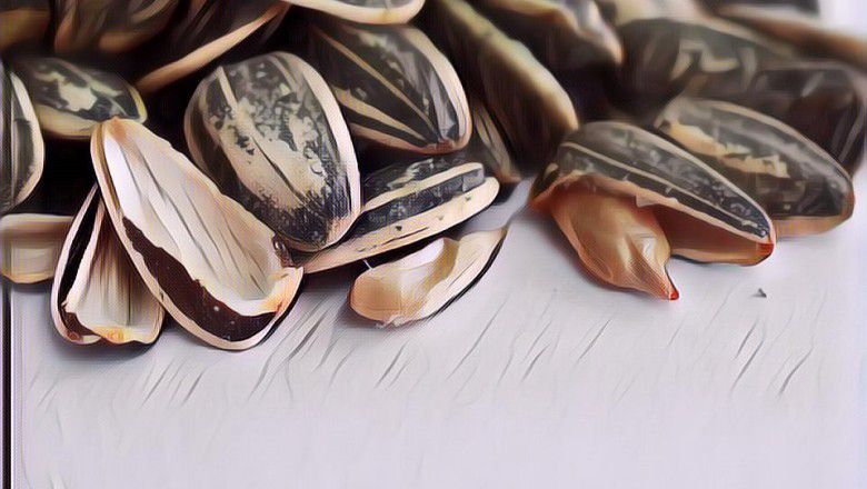 Manfaat Kuaci yang Belum Banyak Orang Tau