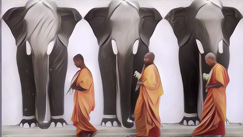 TRAGIS! Biksu Ini Tewas Mengenaskan Diinjak Gajah Saat Meditasi di Hutan