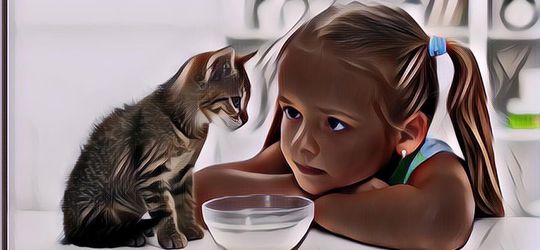 Apa Bener Kucing Punya Sembilan Nyawa? Simak Deh Penjelasannya ...