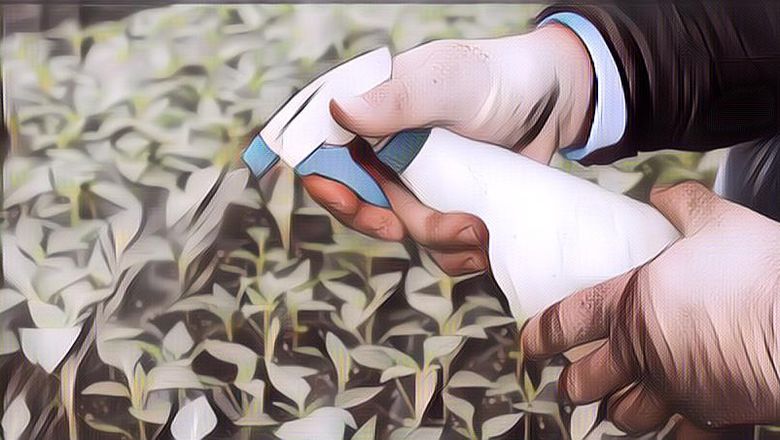 Lebih Aman dan Sehat! Berikut Resep Pestisida Alami Rumahan untuk Kamu yang Hobi Bercocok Tanam