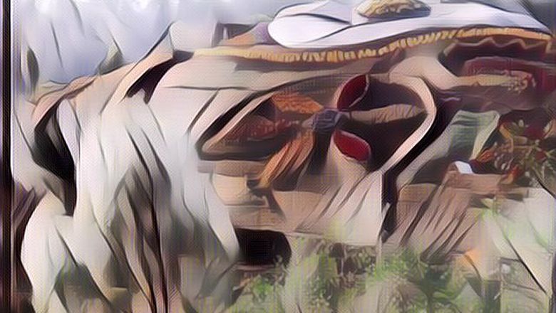 Coban Rais Batu yang Tak Pernah Sepi Pengunjung