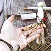 Santet Mematikan yang Bisa Dilakukan Oleh Suku Dayak, Bisa Mati Atau Gila Seketika