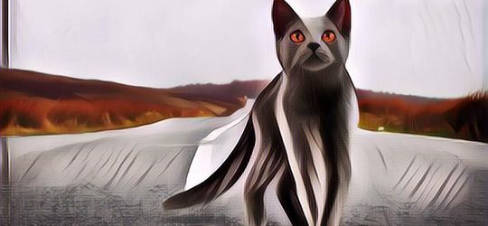 Wow, Penguasa Dubai Berjanji Akan Beri Hadiah Rp 20 Juta/Orang Bagi Yang Menyelamatkan Kucing